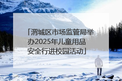 渭城区市场监管局举办2025年儿童用品安全行进校园活动