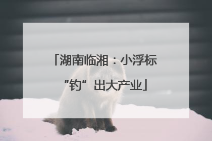 湖南临湘：小浮标“钓”出大产业