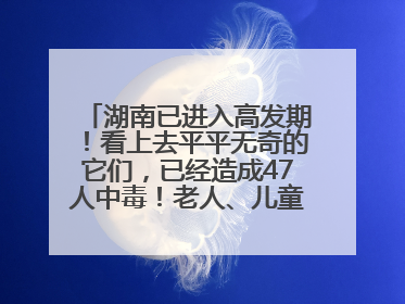 湖南已进入高发期！看上去平平无奇的它们，已经造成47人中毒！老人、儿童是高发人群
