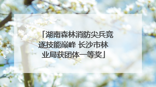 湖南森林消防尖兵竞逐技能巅峰 长沙市林业局获团体一等奖