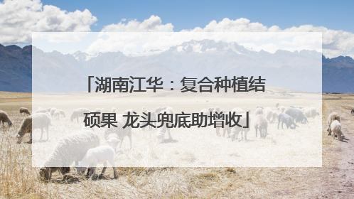 湖南江华：复合种植结硕果 龙头兜底助增收