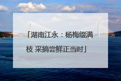 湖南江永：杨梅缀满枝 采摘尝鲜正当时