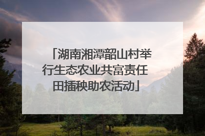 湖南湘潭韶山村举行生态农业共富责任田插秧助农活动