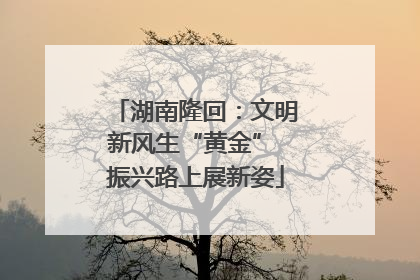 湖南隆回：文明新风生“黄金” 振兴路上展新姿