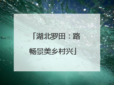 湖北罗田：路畅景美乡村兴
