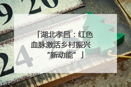湖北孝昌：红色血脉激活乡村振兴“新动能”