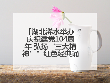 湖北浠水举办“庆祝建党104周年 弘扬‘三大精神’”红色经典诵读活动
