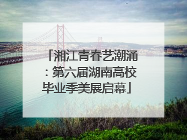 湘江青春艺潮涌：第六届湖南高校毕业季美展启幕