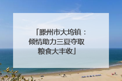 滕州市大坞镇：倾情助力三夏夺取粮食大丰收