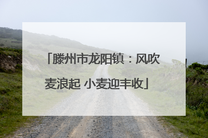 滕州市龙阳镇：风吹麦浪起 小麦迎丰收