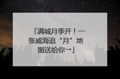 满城月季开！一张威海追“月”地图送给你→