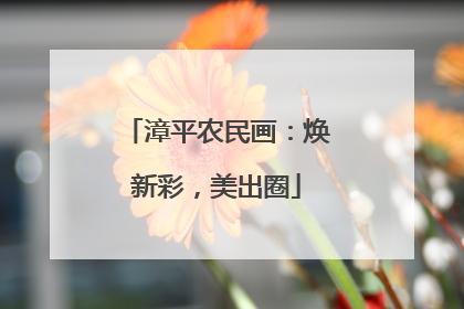 漳平农民画：焕新彩，美出圈