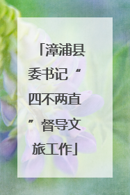 漳浦县委书记“四不两直”督导文旅工作