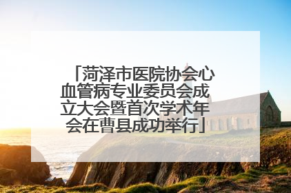 菏泽市医院协会心血管病专业委员会成立大会暨首次学术年会在曹县成功举行