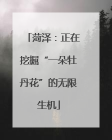 菏泽：正在挖掘“一朵牡丹花”的无限生机