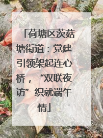 荷塘区茨菇塘街道：党建引领架起连心桥，“双联夜访”织就端午情