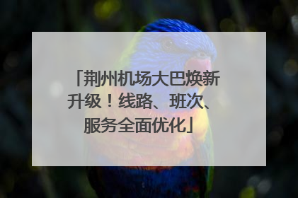 荆州机场大巴焕新升级！线路、班次、服务全面优化