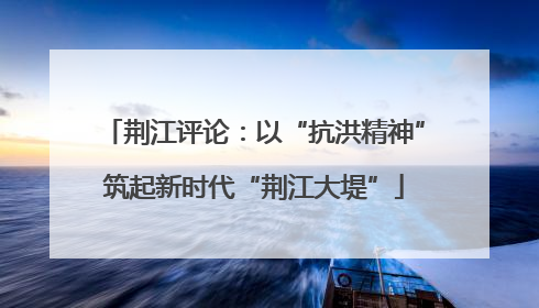 荆江评论：以“抗洪精神”筑起新时代“荆江大堤”
