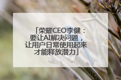 荣耀CEO李健:要让AI解决问题,让用户日常使用起来才能释放潜力