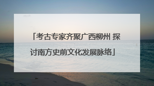 考古专家齐聚广西柳州 探讨南方史前文化发展脉络