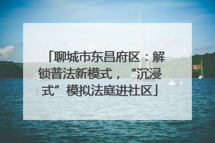 聊城市东昌府区：解锁普法新模式，“沉浸式”模拟法庭进社区