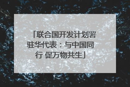 联合国开发计划署驻华代表：与中国同行 促万物共生