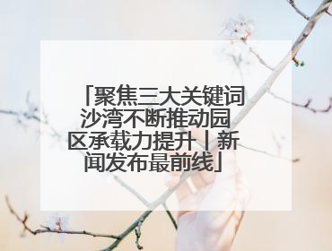 聚焦三大关键词 沙湾不断推动园区承载力提升丨新闻发布最前线