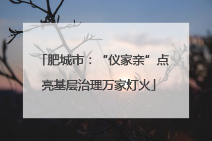肥城市：“仪家亲”点亮基层治理万家灯火