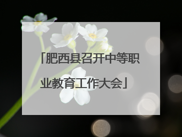 肥西县召开中等职业教育工作大会