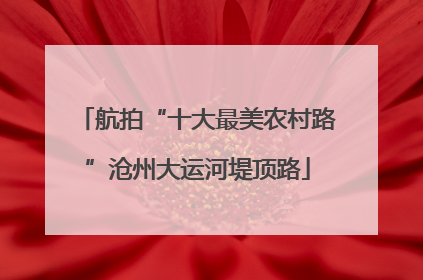 航拍“十大最美农村路”沧州大运河堤顶路