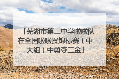 芜湖市第二中学啦啦队在全国啦啦操锦标赛（中大组）中勇夺三金