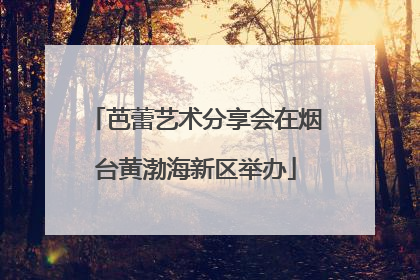芭蕾艺术分享会在烟台黄渤海新区举办