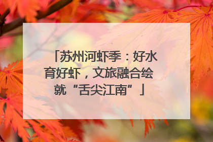 苏州河虾季：好水育好虾，文旅融合绘就“舌尖江南”
