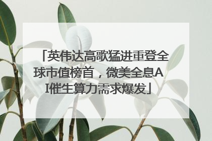 英伟达高歌猛进重登全球市值榜首，微美全息AI催生算力需求爆发