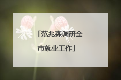范兆森调研全市就业工作