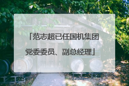 范志超已任国机集团党委委员、副总经理