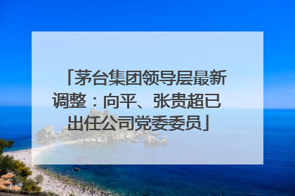 茅台集团领导层最新调整：向平、张贵超已出任公司党委委员