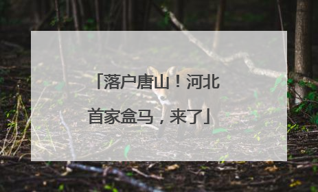 落户唐山！河北首家盒马，来了