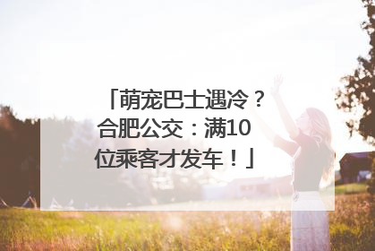 萌宠巴士遇冷？合肥公交：满10位乘客才发车！