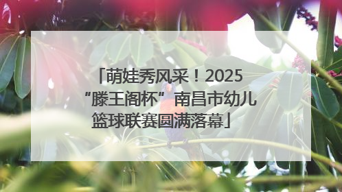 萌娃秀风采！2025“滕王阁杯”南昌市幼儿篮球联赛圆满落幕
