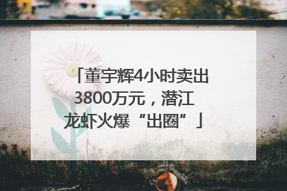 董宇辉4小时卖出3800万元，潜江龙虾火爆“出圈”