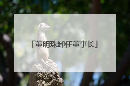 董明珠卸任董事长