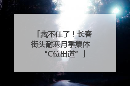 藏不住了！长春街头耐寒月季集体“C位出道”