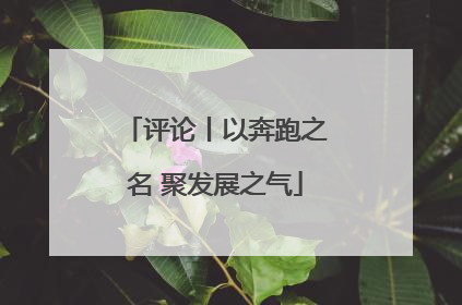 评论丨以奔跑之名 聚发展之气