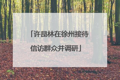 许昆林在徐州接待信访群众并调研