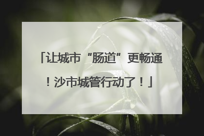 让城市“肠道”更畅通！沙市城管行动了！