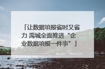 让数据填报省时又省力 禹城全面推进“企业数据填报一件事”