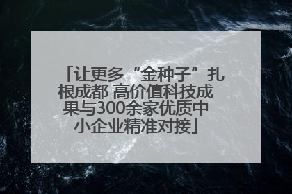 让更多“金种子”扎根成都 高价值科技成果与300余家优质中小企业精准对接