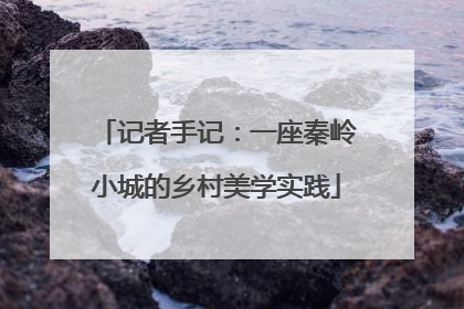 记者手记：一座秦岭小城的乡村美学实践