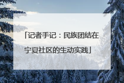 记者手记：民族团结在宁夏社区的生动实践